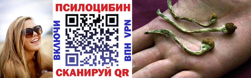 Псилоцибиновые грибы MAGIC MUSHROOMS  Гаджиево 